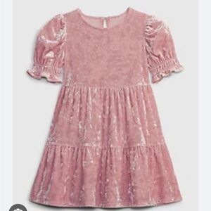 Gap Kids Toddler Tiered Velvet Cavan Rose Pink Dress Size 2T NWT
